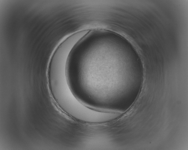 X0000067520864200604211815