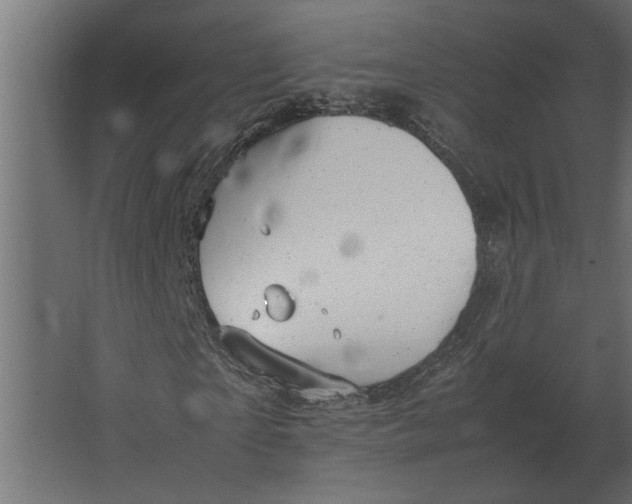 X0000067520865200604211814