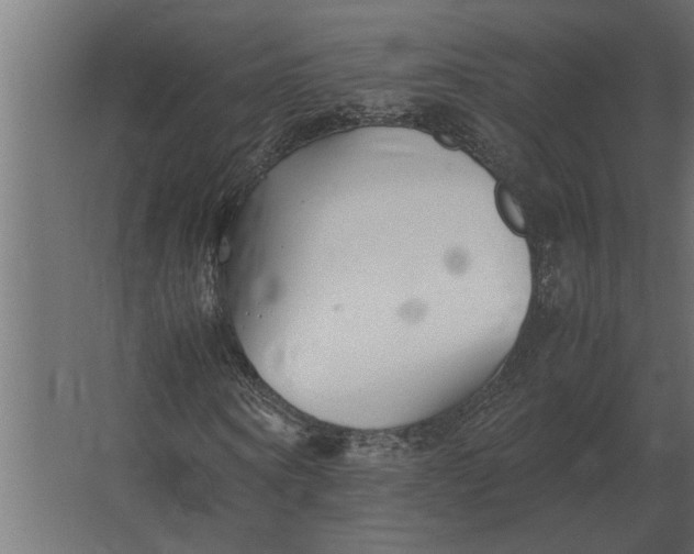 X0000067520866200604211814