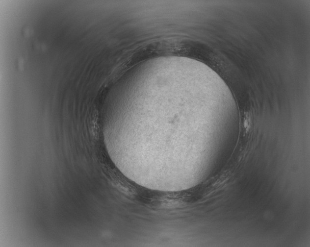 X0000067520867200604211814