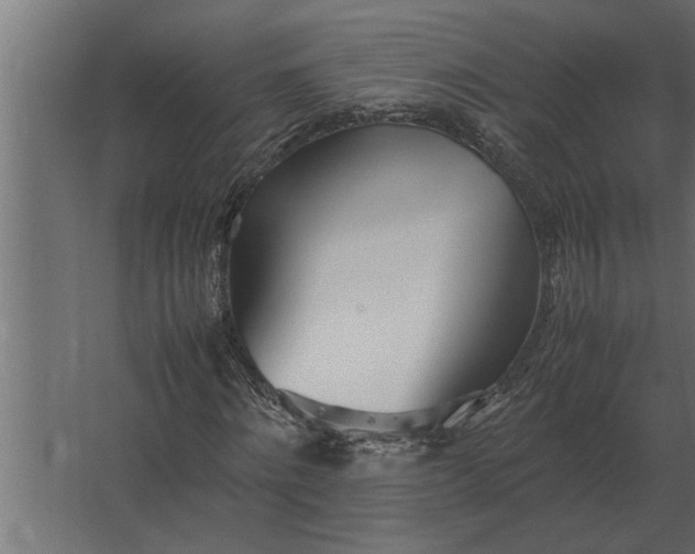 X0000067520868200604211814