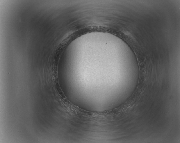 X0000067520870200604211814