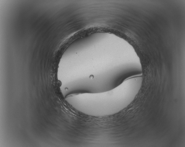 X0000067520872200604211814