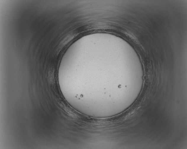 X0000067520873200604211814