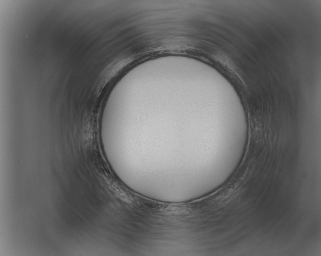 X0000067520874200604211814