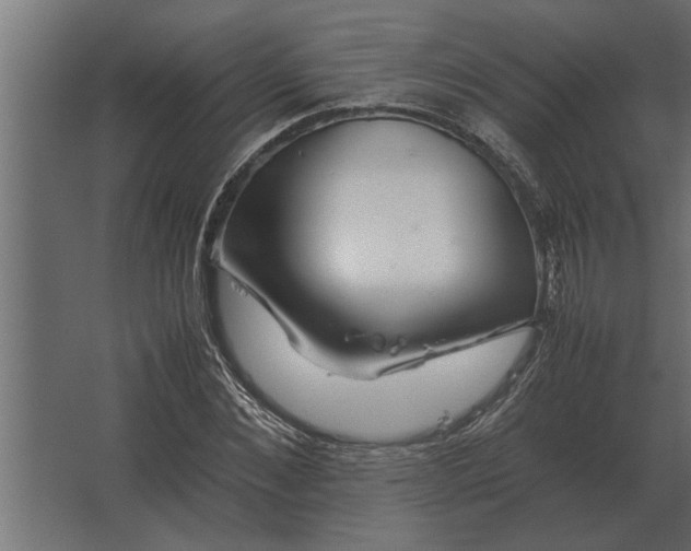 X0000067520876200604211814