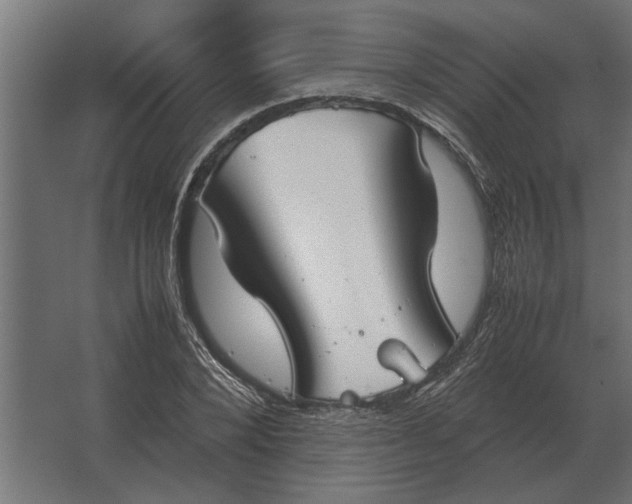 X0000067520880200604211814