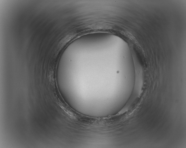 X0000067520881200604211814