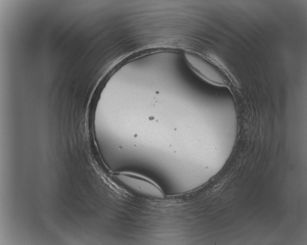 X0000067520884200604211814