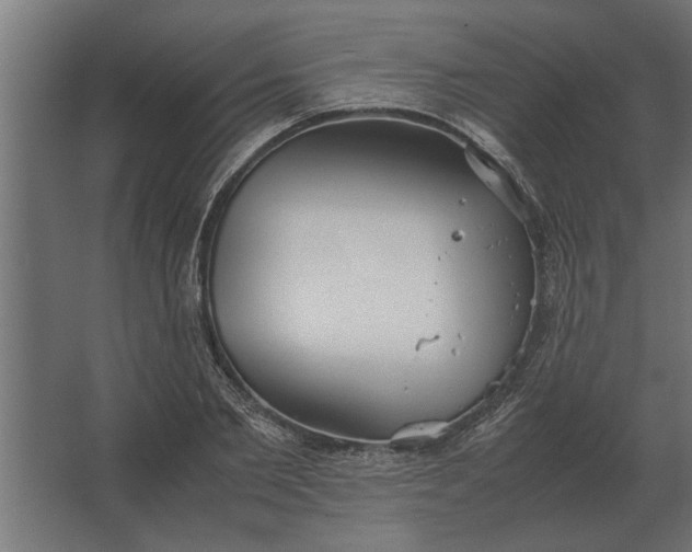 X0000067520885200604211814