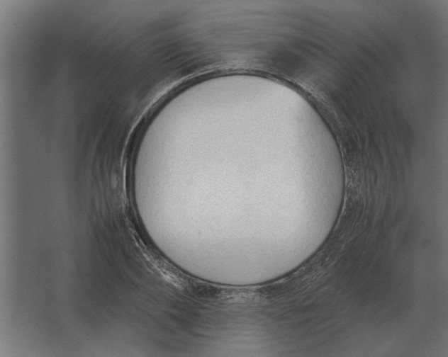 X0000067520886200604211814