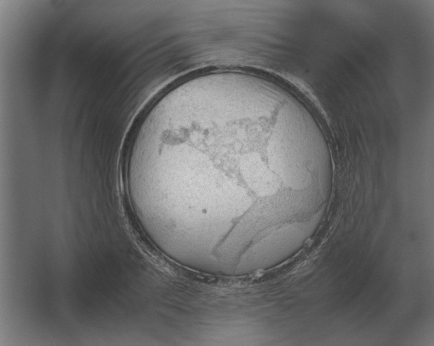 X0000067520887200604211814