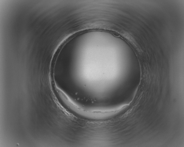 X0000067520888200604211814