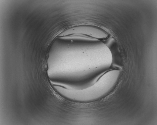 X0000067520889200604211814