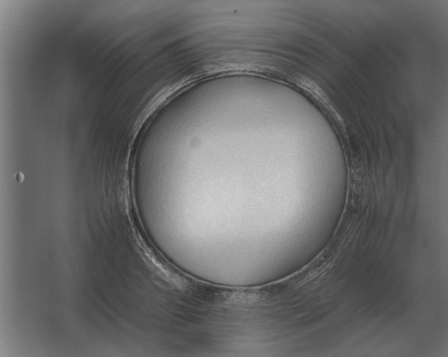 X0000067520890200604211814