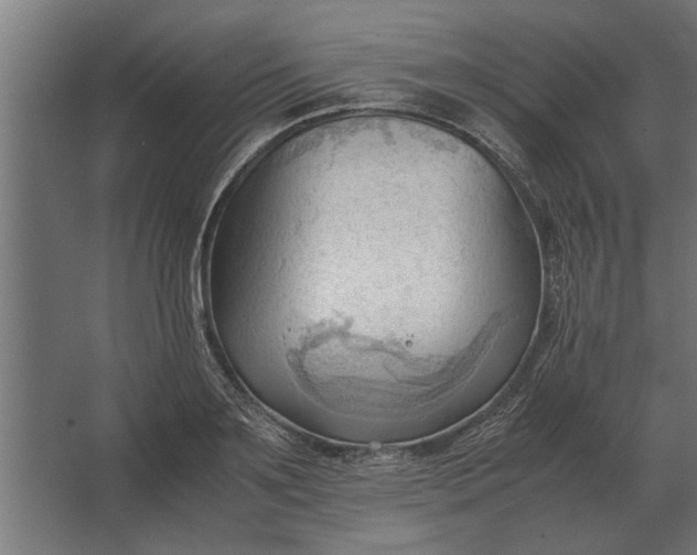 X0000067520891200604211814