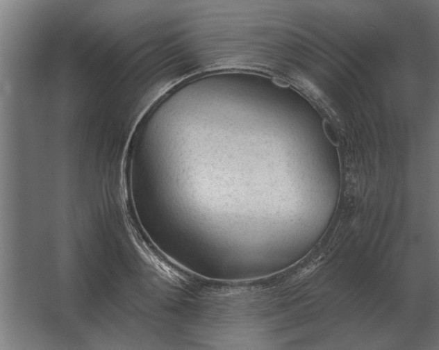 X0000067520892200604211814