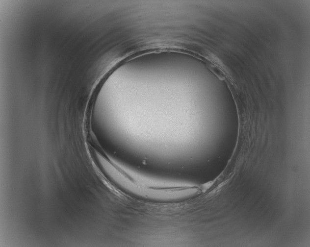 X0000067520893200604211814