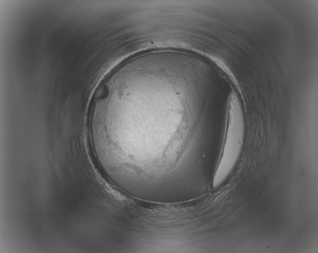 X0000067520895200604211814