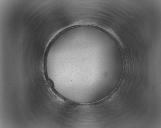 X0000067520896200604211814