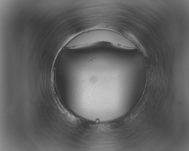 X0000067520900200604211814