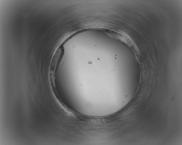 X0000067520901200604211814