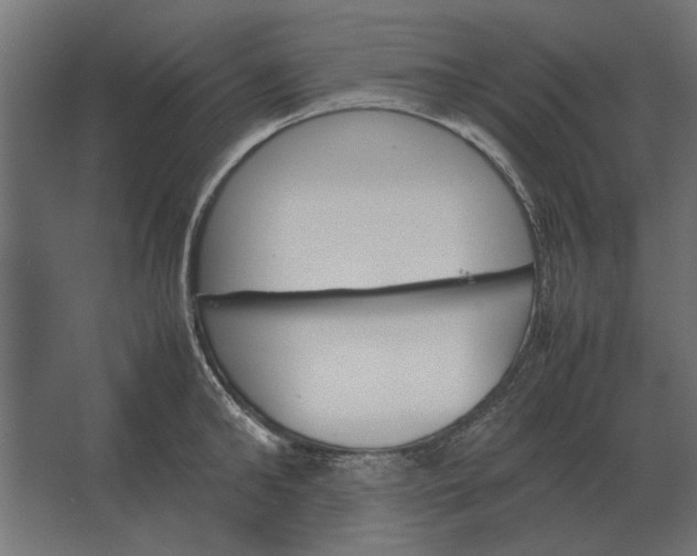 X0000067520902200604211814