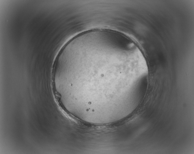 X0000067520903200604211814