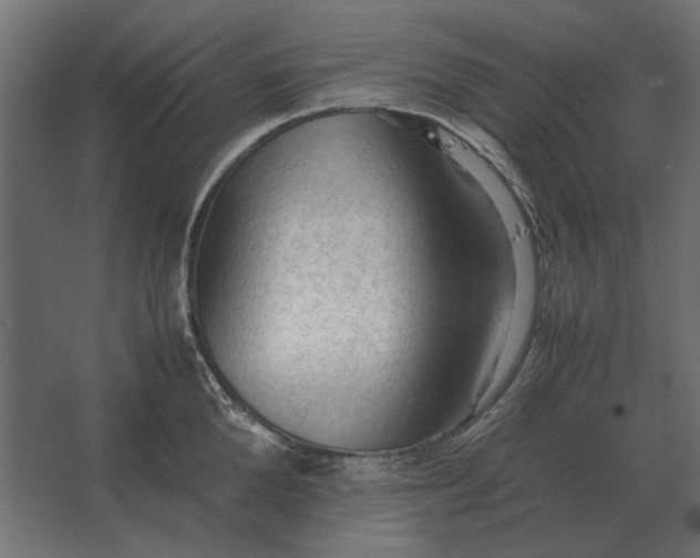 X0000067520904200604211814