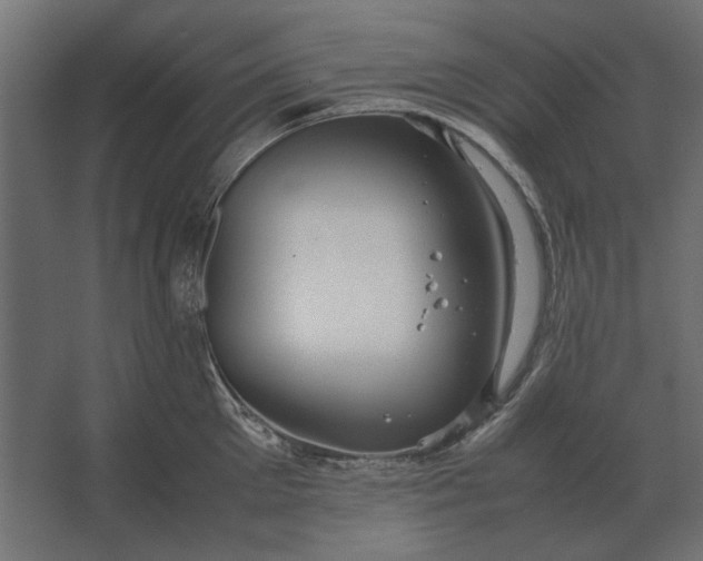 X0000067520905200604211814