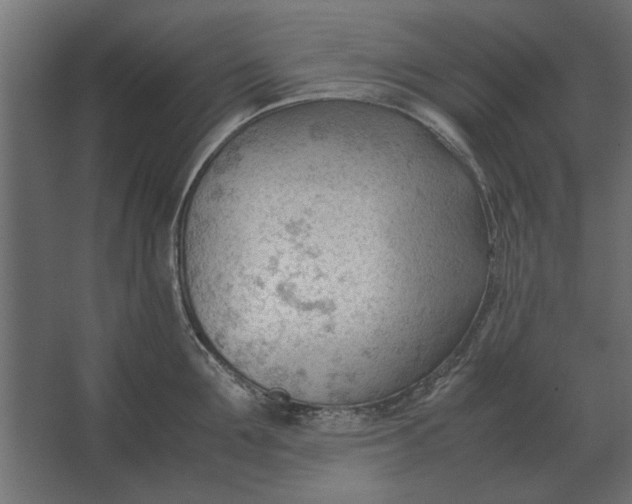 X0000067520907200604211814