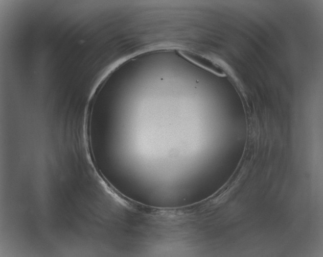 X0000067520910200604211814