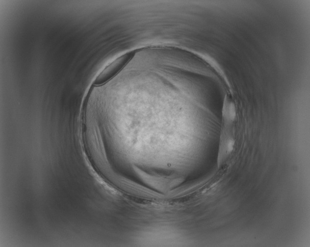 X0000067520911200604211813