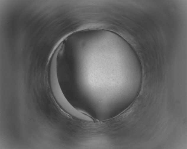 X0000067520912200604211813