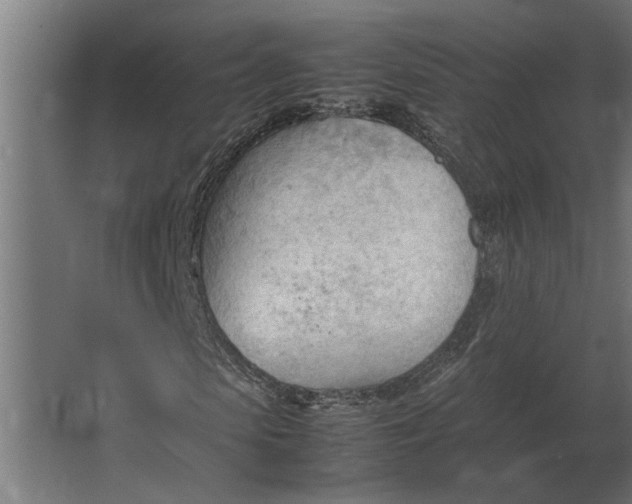 X0000067520913200604211813