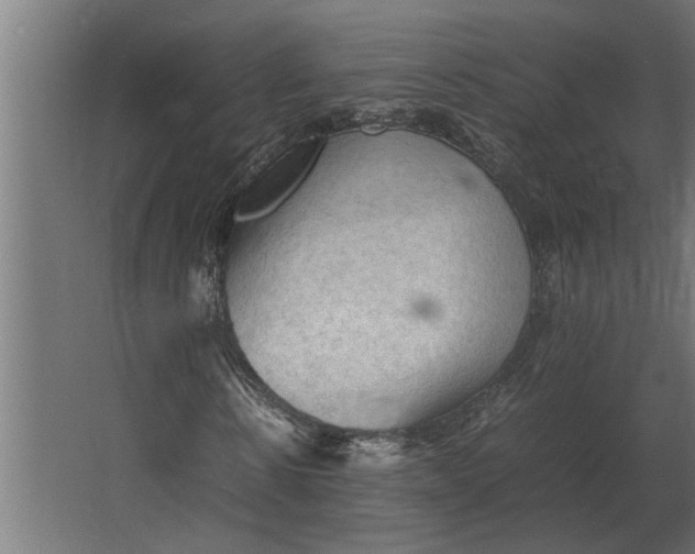 X0000067520914200604211813