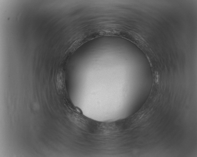 X0000067520915200604211813