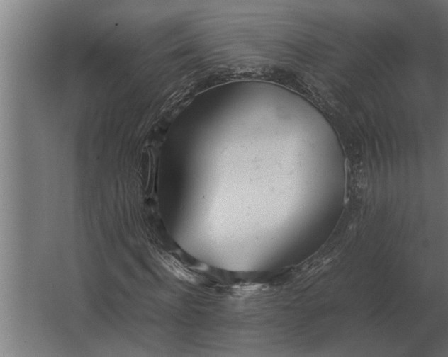 X0000067520916200604211813