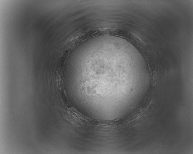 X0000067520917200604211813