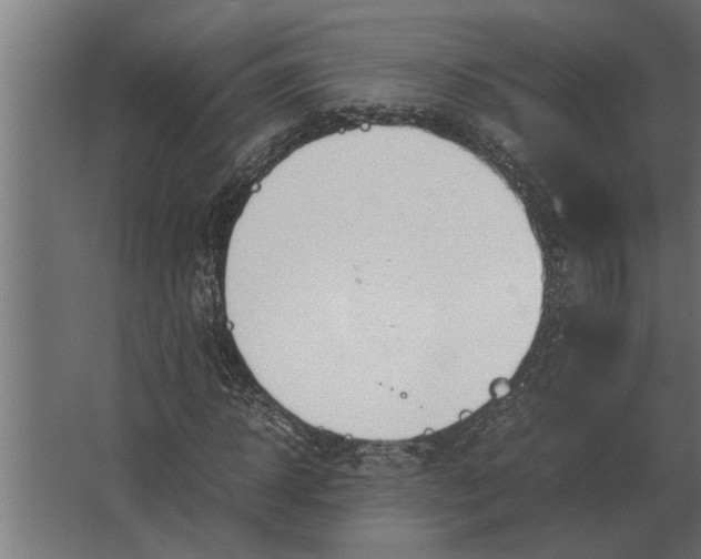 X0000067520918200604211813