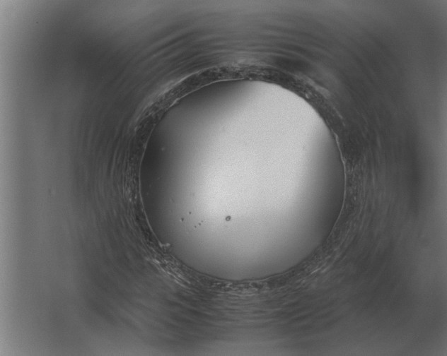 X0000067520919200604211813