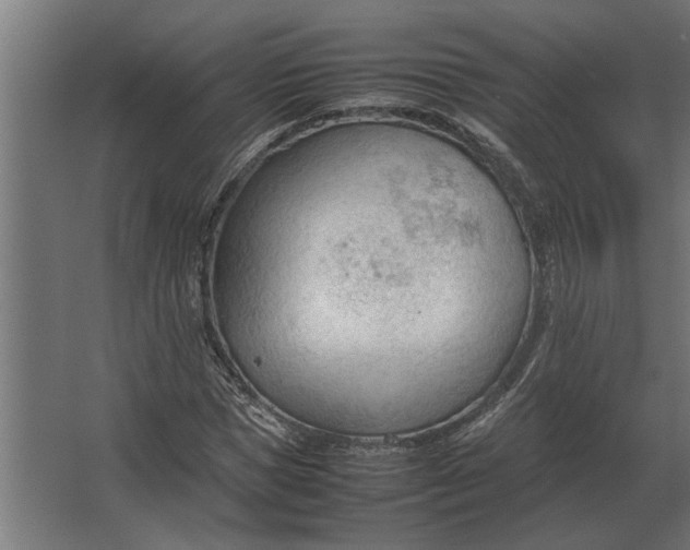 X0000067520921200604211813