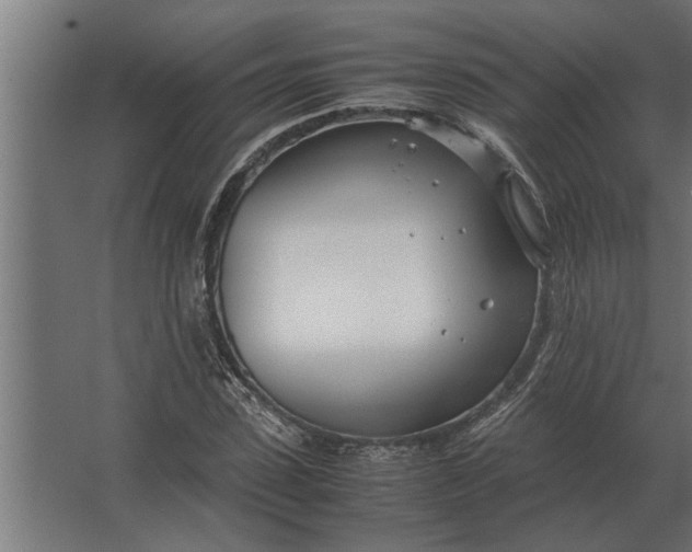 X0000067520923200604211813