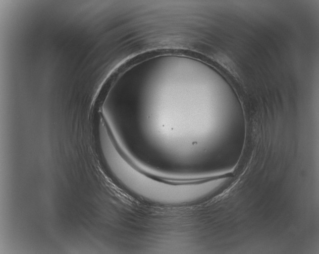 X0000067520926200604211813