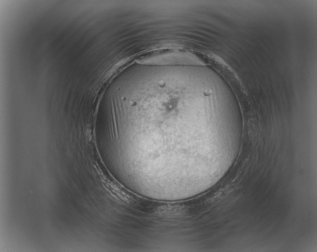 X0000067520929200604211813