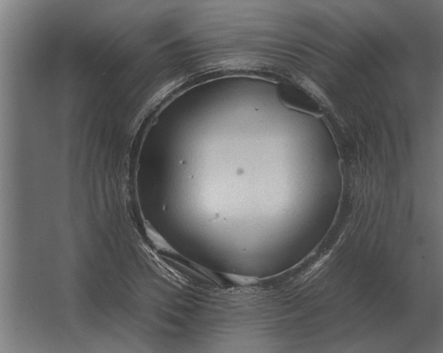 X0000067520930200604211813