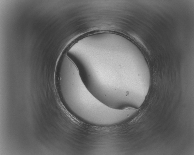 X0000067520932200604211813