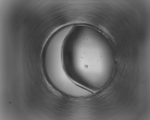 X0000067520934200604211813