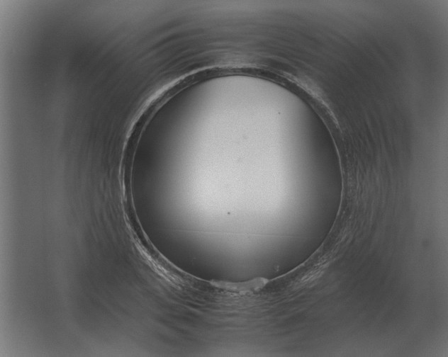 X0000067520935200604211813