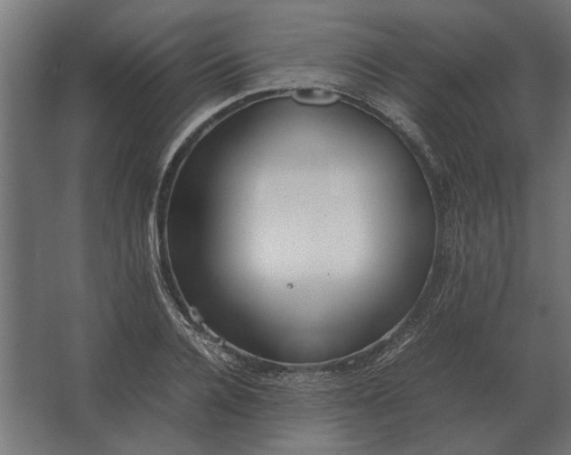 X0000067520936200604211813